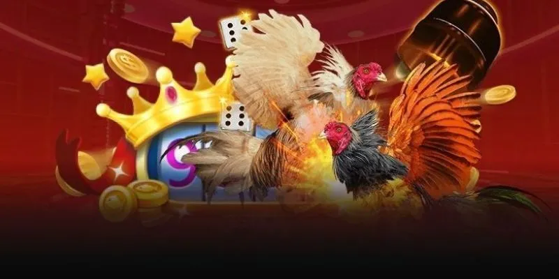 Lợi ích khi tham gia Đá Gà AB77