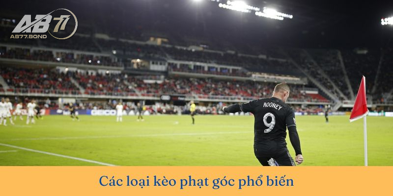 Kèo Phạt Góc Là Gì? Cách Đọc Và Kinh Nghiệm Chơi Kèo Corners Kick 2025 2 Các loại Kèo Phạt Góc phổ biến nhất