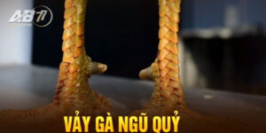 Một số thông tin về Vảy Gà Ngũ Quỷ bạn cần biết