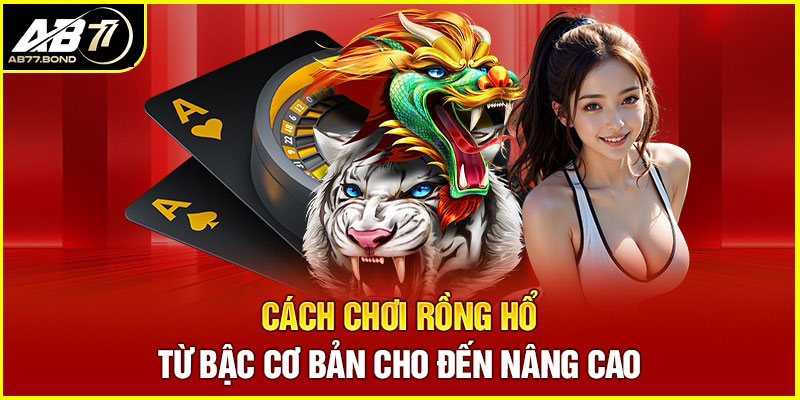 Rồng Hổ Là Gì? Luật Và Cách Chơi Game Bài Rồng Hổ Tại AB77 2 Cách chơi Rồng Hổ và các quy định cần biết