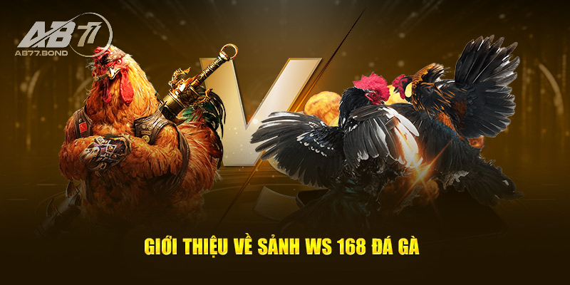 Đá Gà WS168 - Sảnh Chơi Đá Gà Chất Nhất Châu Á 2025 1 Khái niệm về sảnh Đá Gà WS168