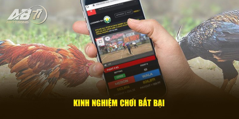 Đá Gà WS168 - Sảnh Chơi Đá Gà Chất Nhất Châu Á 2025 3 Kinh nghiệm cá cược luôn thắng tại sảnh Đá Gà WS168